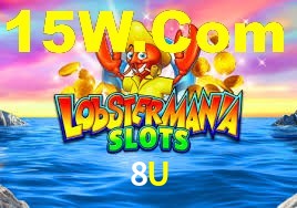 8U